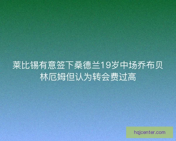 莱比锡有意签下桑德兰19岁中场乔布贝林厄姆但认为转会费过高